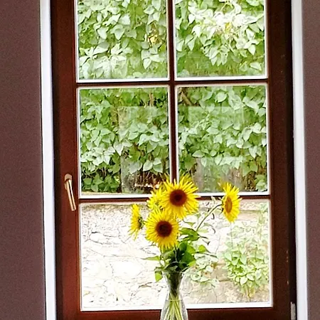 Basaltina Panzio Bed & Breakfast Balatonederics