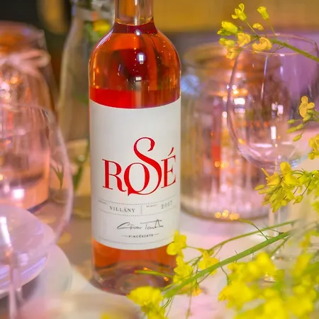 Basaltina Panzio Bed & Breakfast Balatonederics