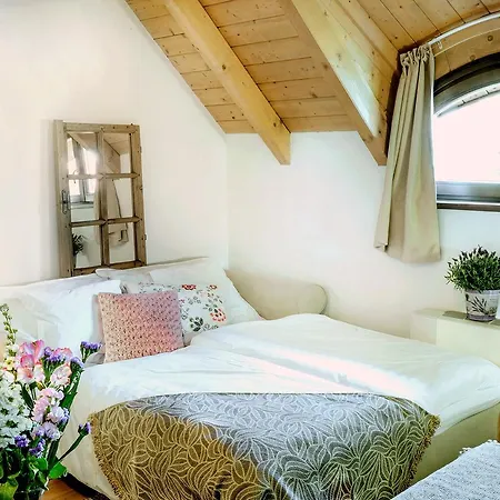 Basaltina Panzio לינה וארוחת בוקר