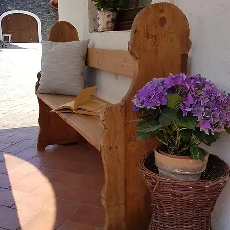 Basaltina Panzio 4* בלטונדריץ'